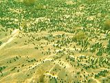 Popolamento insediato su un bassofondo roccioso ricoperto da abbondante sedimento